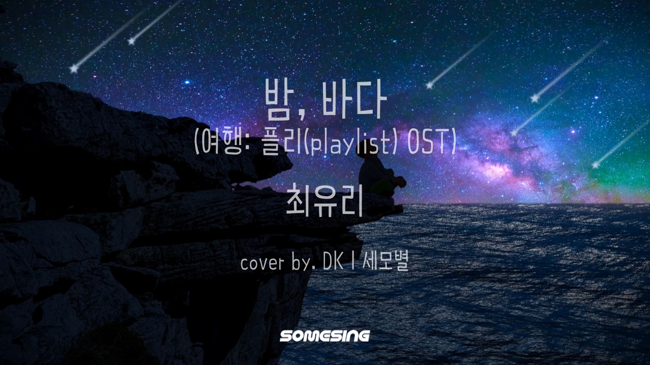 최유리(Choi Yu Ree) - 밤, 바다(Night Sea)(여행: 플리 (playlist) (cover by. DKㅣ세모별)